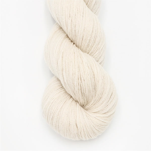 カシミヤA　2/26