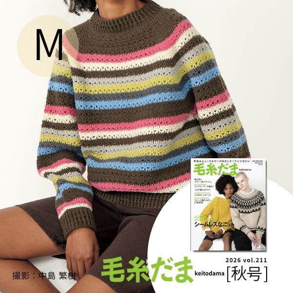 毛糸だま26秋 (M)マルチボーダー材料セット
