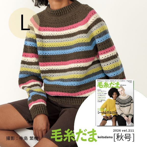 毛糸だま26秋 (L)マルチボーダー材料セット