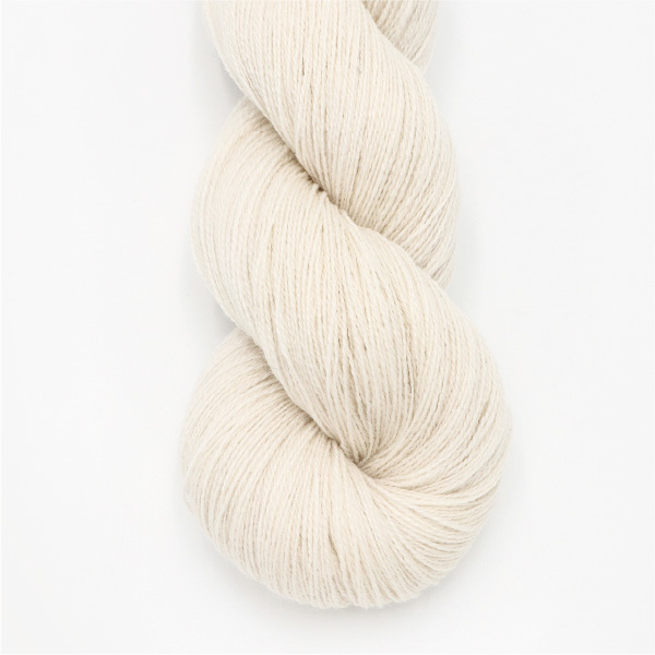 カシミヤA　2/26